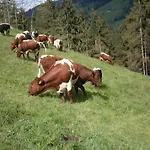 Filzenhof * Kitzbühel