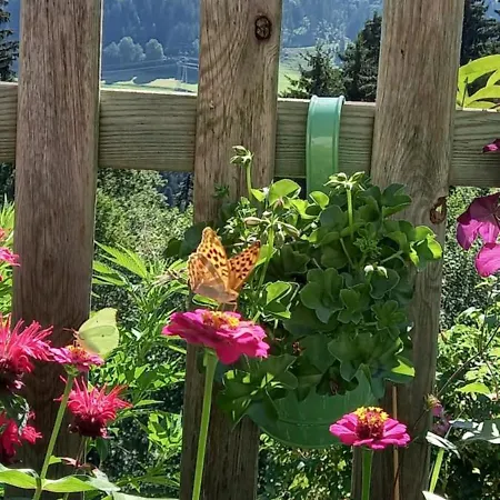 Filzenhof Lejlighed Kitzbühel