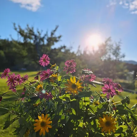 Lejlighed Filzenhof Kitzbühel