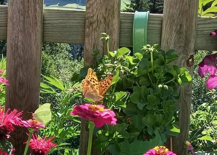 Filzenhof דירה קיצביהל