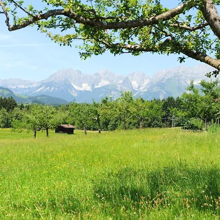 Appartement Filzenhof *
