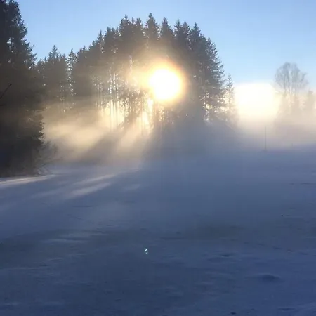 Filzenhof Appartement *