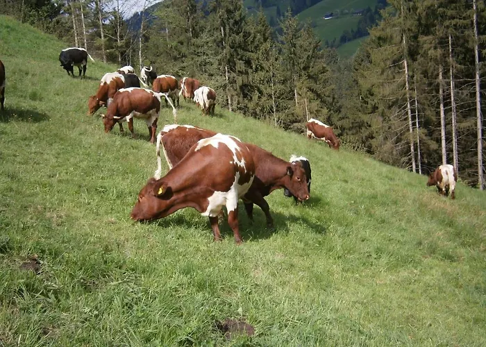 Filzenhof * 基茨比厄尔