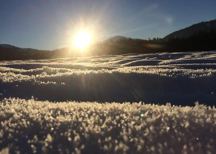 Filzenhof * 基茨比厄尔