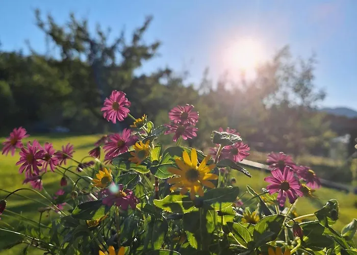 公寓 Filzenhof 基茨比厄尔