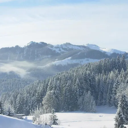 Filzenhof Apartment Kitzbuhel