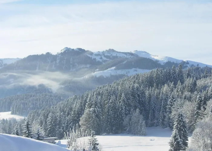 Filzenhof Apartament Kitzbühel