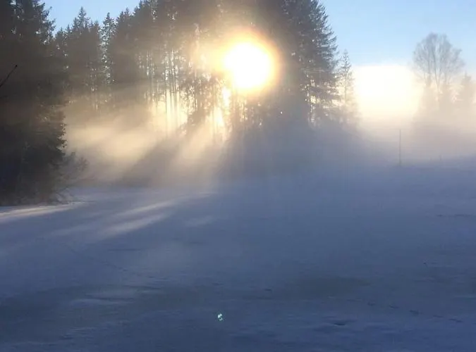 Filzenhof Apartament *